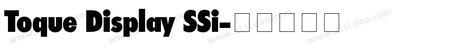 Toque Display SSi字体转换